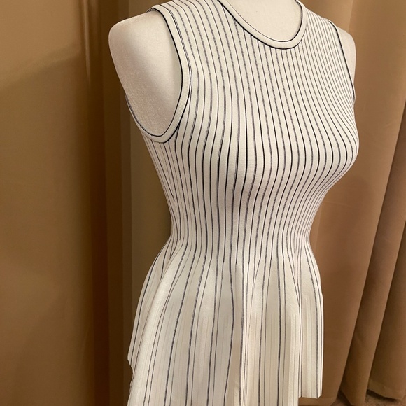 NWT!Theory White and Black Striped Peplum Tank, Top, Knit Size Petite Retail: $2 - Picture 10 of 16